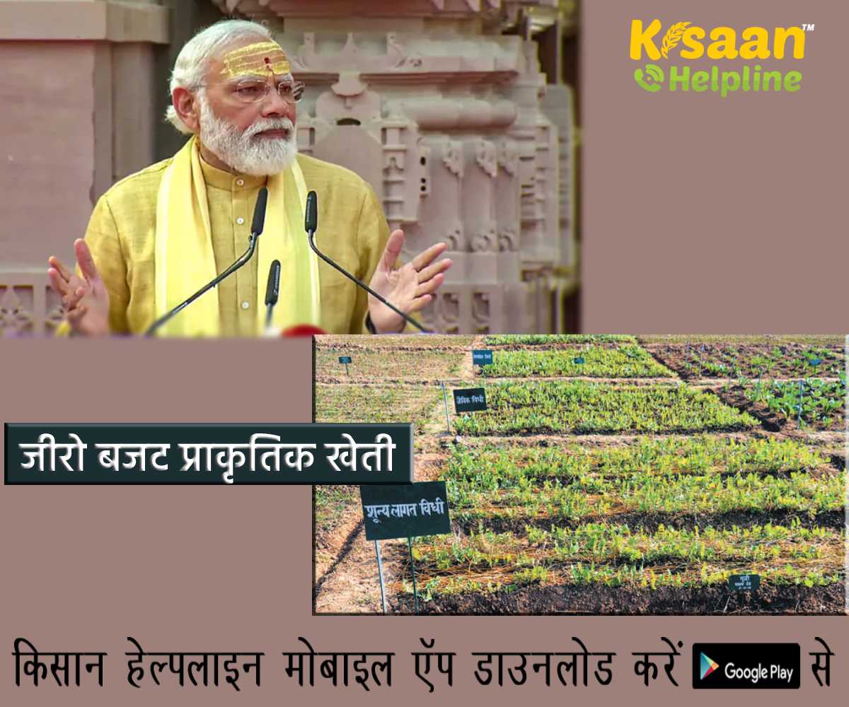 Zero Budget Natural Farming: जीरो बजट प्राकृतिक खेती जन आंदोलन बने: प्रधानमंत्री नरेंद्र मोदी